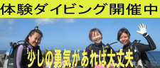 䓇ő̌_CrOI