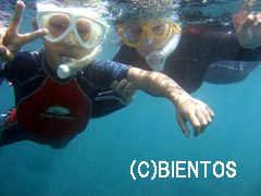 03-1.jpg(9699 byte)