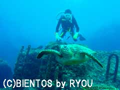 11-2.jpg(6099 byte)